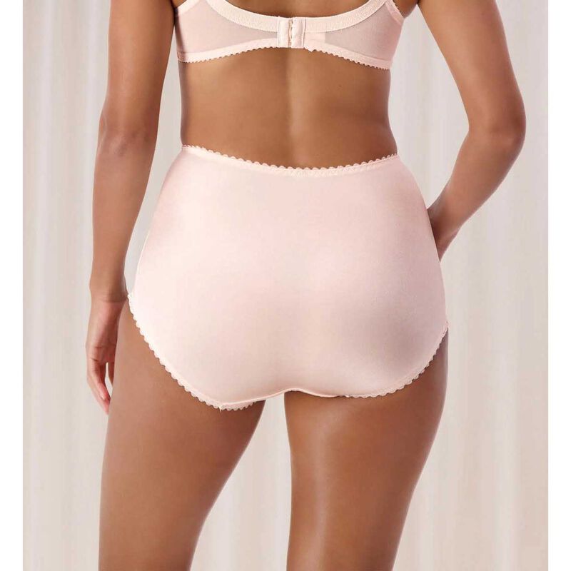 Triumph Something Else Tum-E-Lace Brief image number 5